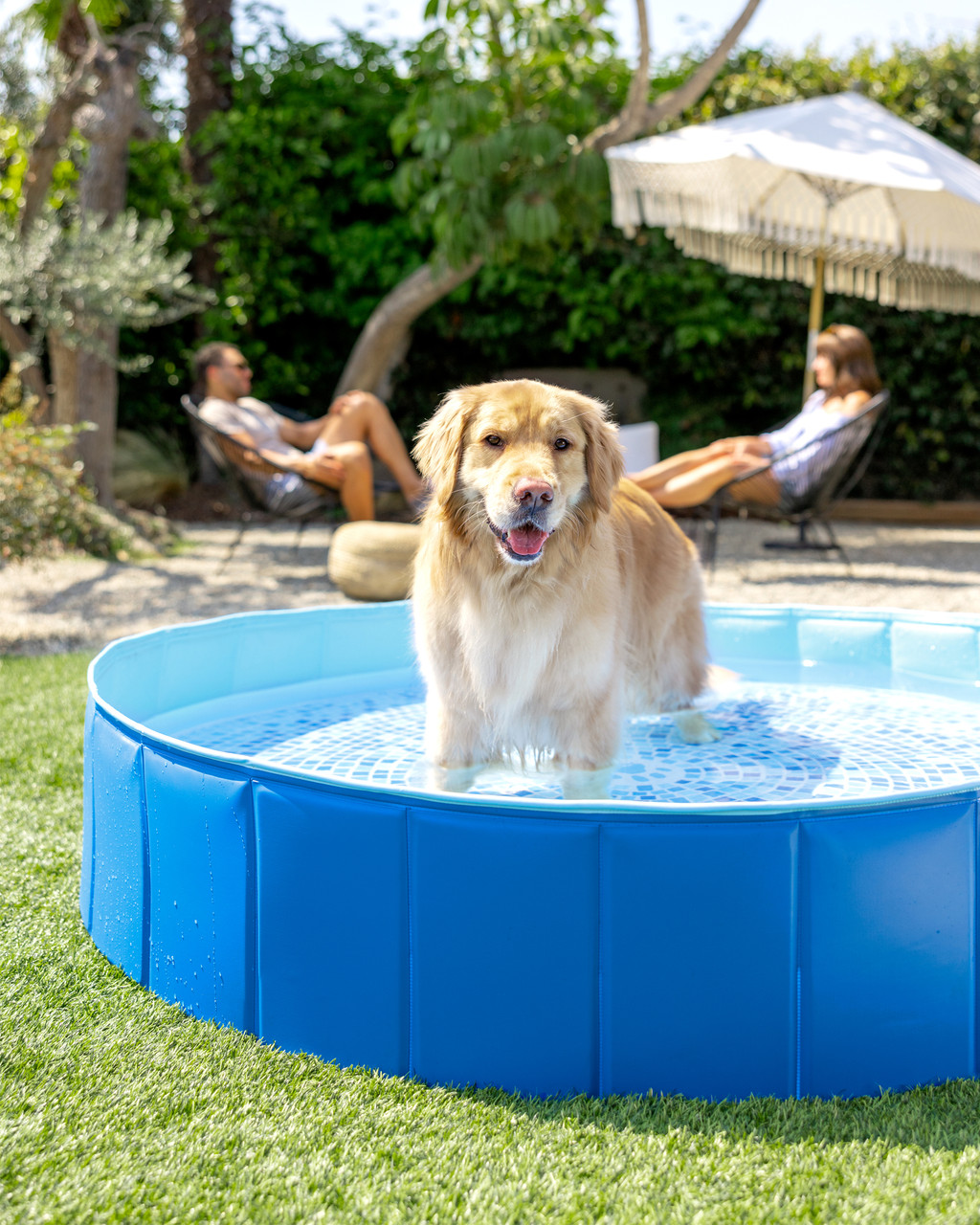 Portable Foldable Pet Swimming Pool - 60" x 12" [DxH]