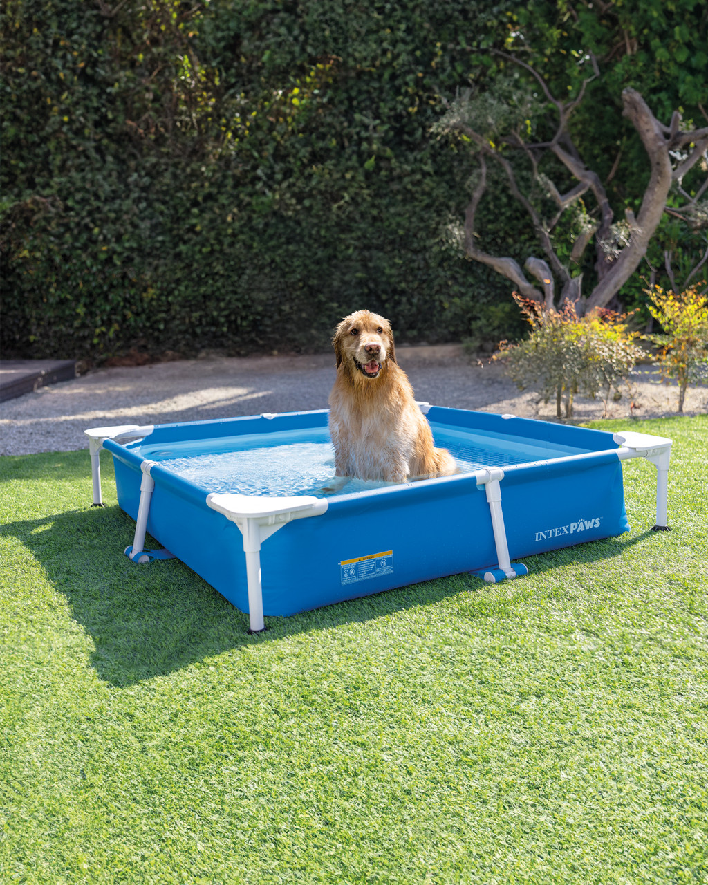 Square Frame Pet Pool Set with Filter