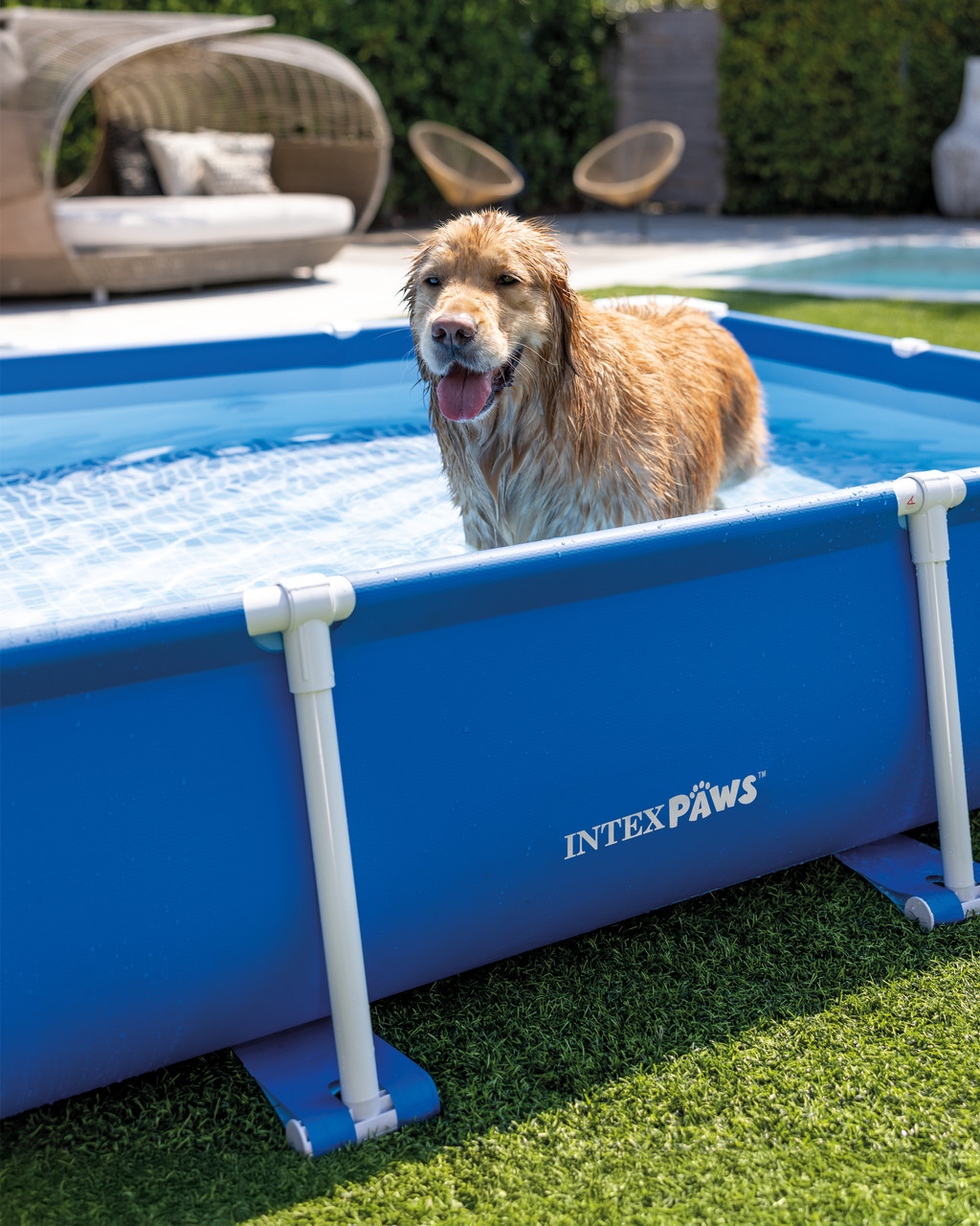 Rectangular Frame Pet Pool Set with Filter